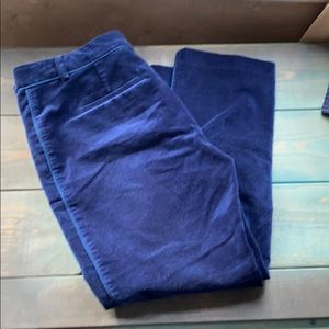 Ann Taylor Navy Velour Devin Fit Pants Sz 8
